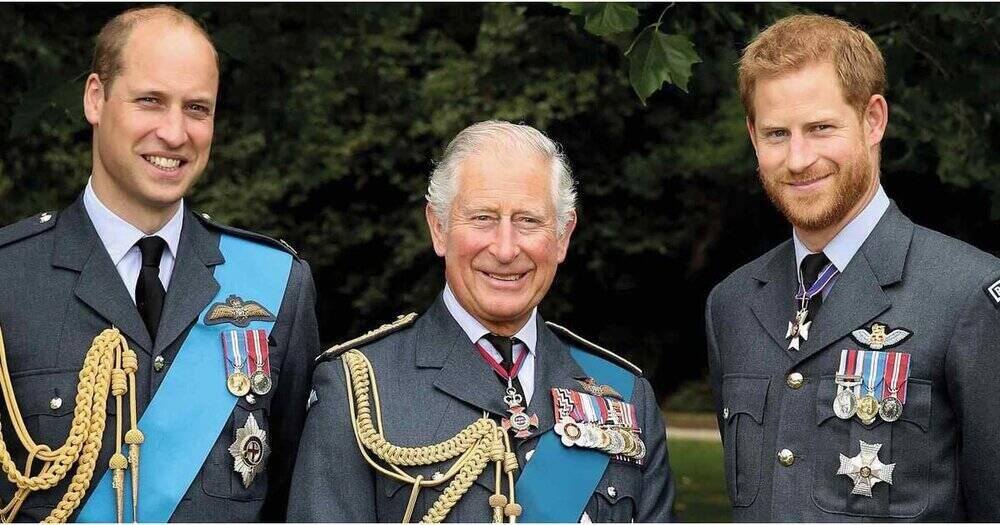 Harry & William Share a Complicated Relationship With Their Father ...